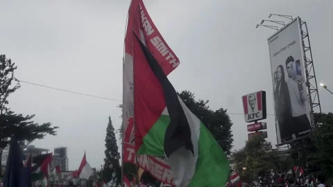 Palestina demonstration Stock Footage 254220000