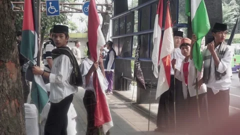 Palestina demonstration Stock-Footage 254220001
