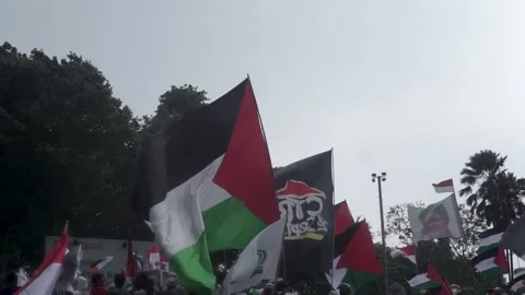 Palestina demonstration Stock-Footage 254220053