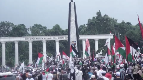 Palestina demonstration Stock Footage 254220062