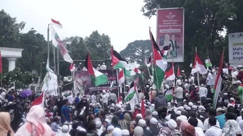 Palestina demonstration Stock Footage 254220077