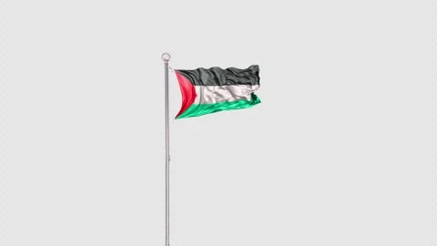 Palestina   Flag Pole  Animation Include Alpha 3D Rendering Stock-Footage 312088566