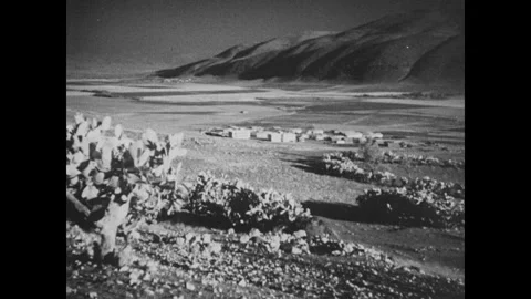 Palestine 1930s Stock Footage 253693171