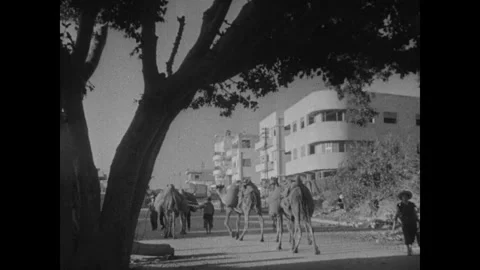 Palestine 1930s Stock Footage 253693294