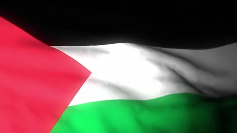 Palestine 3840x2160UHD Video stock 222869863