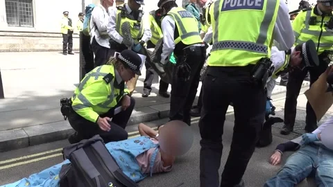 Palestine Action protesters are arrested outside the Royal Courts of Justice  스톡 동영상 336984728