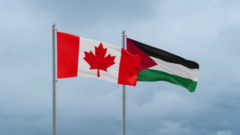 Palestine and Canada flag Stock Footage 252025354