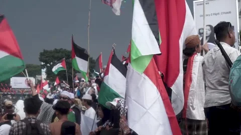 Palestine demonstration Stock-Footage 254220021