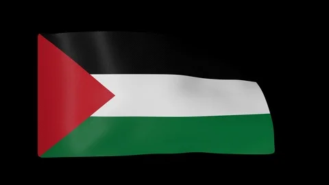 Palestine Flag with Alpha Channel Video stock 87551708