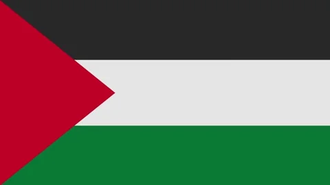 Palestine flag with animated light sweep Stock Footage 309883632