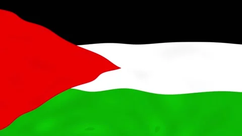 PALESTINE FLAG ANIMATION Stock Footage 221960849
