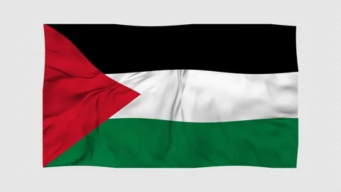 Palestine flag Animation on Transparent Alpha Background | 4K Loop 스톡 동영상 320682341