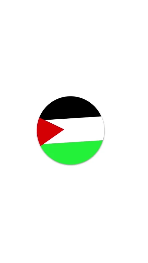 Palestine Flag Button Icon Animation Stock Footage 336747500