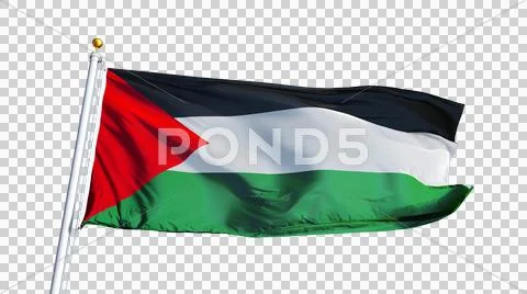 Palestine flag, close up, isolated with alpha channel Stock Photos