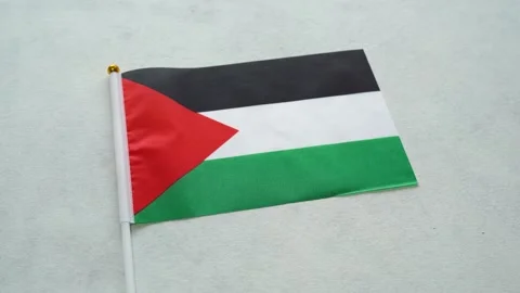 Palestine flag close up on isolated background. Concept Palestinian country Stock Footage 344084062