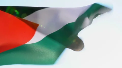 Palestine Flag Flapping Stock Footage 118960996