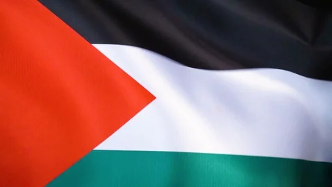 Palestine Flag Flapping Stock Footage 118969731