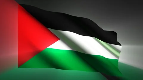 Palestine Flag Stock Footage 894062