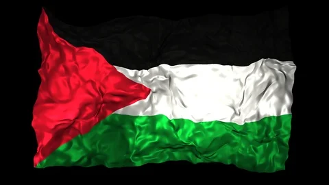 Palestine flag Stock Footage 110826051
