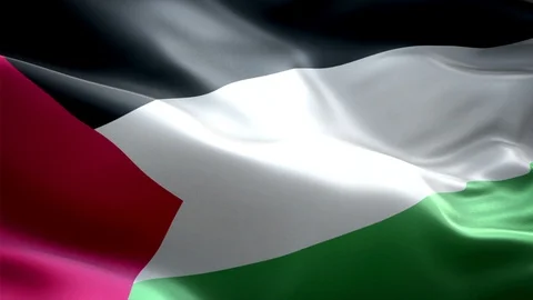 Palestine Flag Stock Footage 116408083