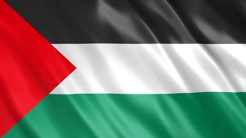 Palestine Flag Stock Footage 123889093