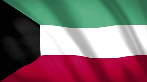 Palestine Flag Stock Footage 188153219