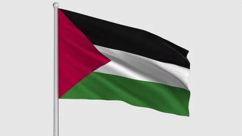 Palestine Flag Video stock 208867099
