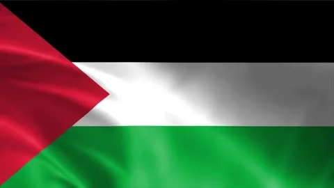Palestine Flag Stock Footage 262500011