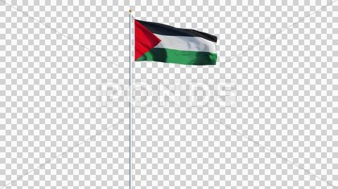 Palestine flag, long shot, isolated with alpha channel Stock Photos