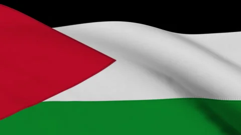 Palestine Flag Loop Stock Footage 307618919