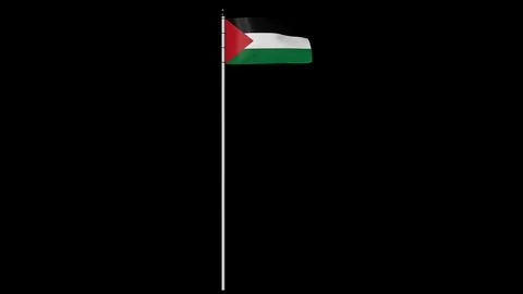 Palestine Flag on Pole with Alpha Channel Video stock 87548093
