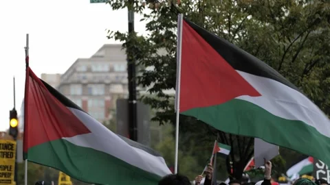 Palestine Flag at a Protest March Stock Footage 253128670