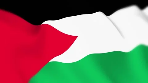 Palestine Flag Seamless Loop 4k 60fps on Sky Background 库存影片 340342248