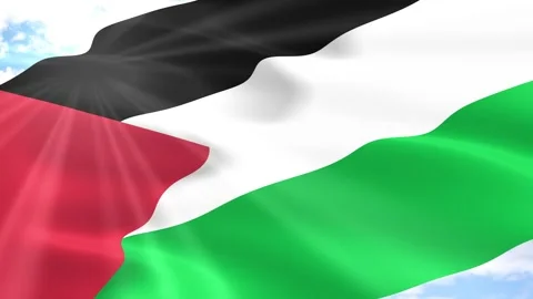 Palestine Flag Seamless Loop 4k 60fps on Sky Background Stock Footage 341569523