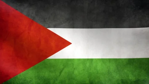 Palestine Flag Seamless Looping Background Stock Footage 339288263