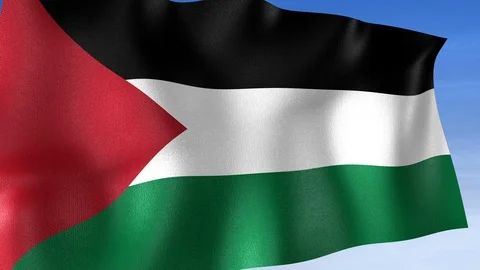 Palestine Flag - Set of 3 Angles with Masks [3WaveSeries] Stock Footage 105309239