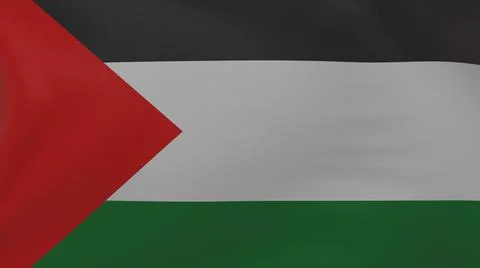 Palestine flag texture Stock Illustration