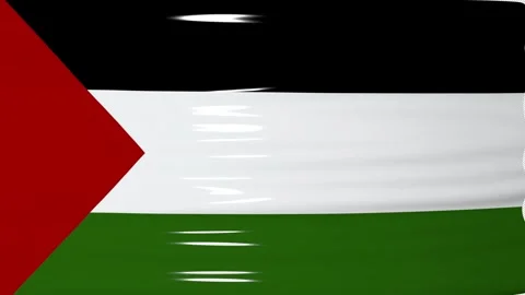 Palestine Flag Transition Animation 库存影片 320606949