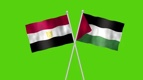 Palestine Flag Vs Flag Of Egypt Green Screen Stock Footage 318782174