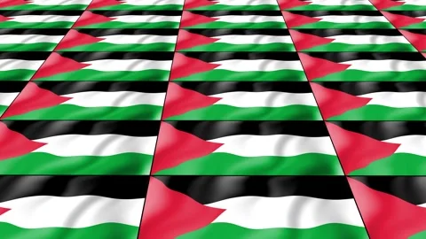 Palestine Flag wave 3d rotating view animated wallpaper background Stock Footage 264315071