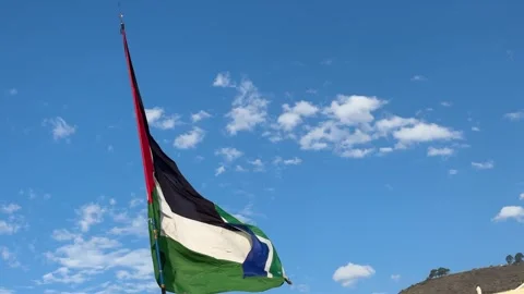 Palestine flag waver Stock Footage 309943399