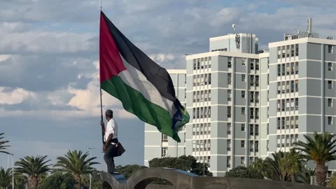 Palestine flag waver Stock Footage 309981485