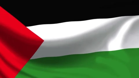 Palestine Flag Waving Animation Motion Graphics Background Footage in 4K Stock Footage 340279836