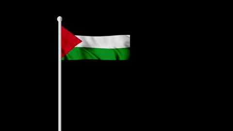 Palestine flag waving animation on pole. Palestine flag animation looping endles Stock Footage 304822853