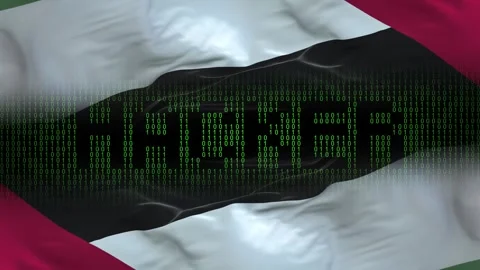 Palestine flag - Waving flag on matrix binary code background Stock Footage 321420476