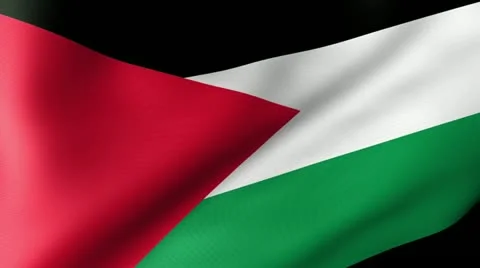 Palestine Flag Waving Stock Footage 12229925