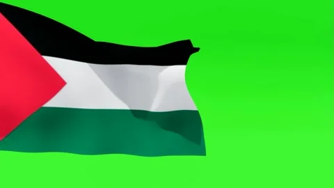 Palestine Flag Waving Green Screen Stock Footage 320076938
