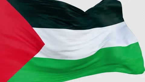 Palestine Flag Waving Loop on alpha Stock Footage 253399384