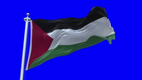 Palestine Flag Waving in Loopable and Textured green screen background Stock Footage 296876124