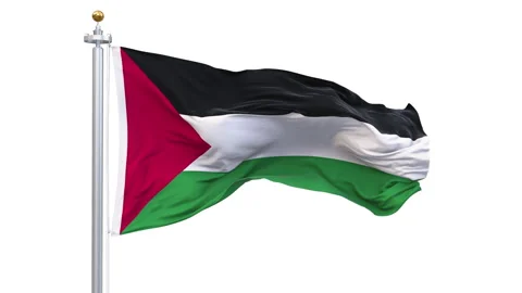 Palestine flag waving looping with transparent background. Stock Footage 336420734
